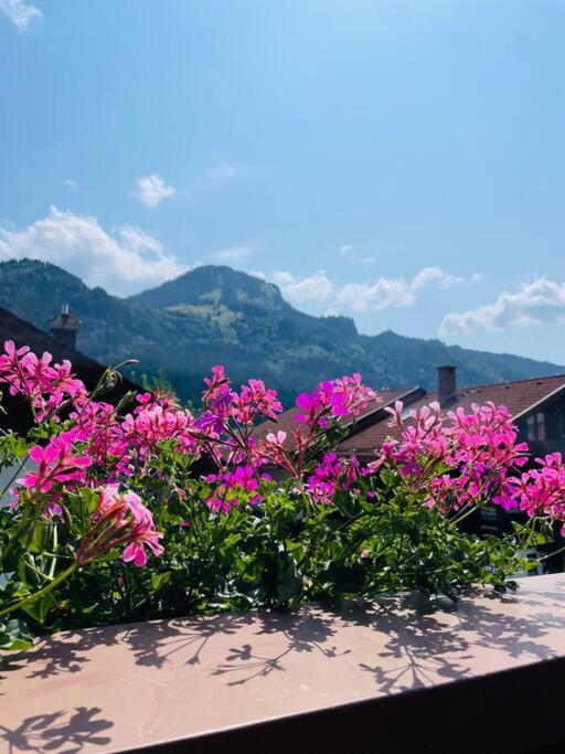 Berge, Wandern, Erholung Pur! Fewo Tinka-Haus Katja Bad Hindelang Exteriör bild
